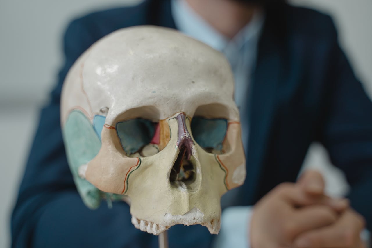 Close-up of a colorful anatomical skull model in a classroom setting, ideal for educational purposes.